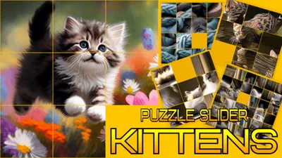 Puzzle Sliding - Kittens banner